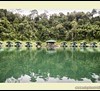 Elephant Hills on lake