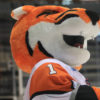 RIT TIGER